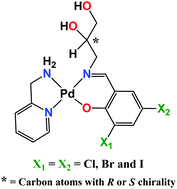 Graphical abstract: Investigation of the influence of chirality and halogen atoms on the anticancer activity of enantiopure palladium(ii) complexes derived from chiral amino-alcohol Schiff bases and 2-picolylamine