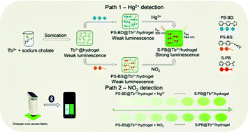 Graphical abstract: A luminescent Tb3+ cholate hydrogel-based multi-functionalized platform for Hg2+ and NO2 detection