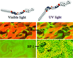 Graphical abstract: Liquid crystalline dimers containing a cholesteryl benzoate unit: smectic phase, chiral nematic phase and blue phase