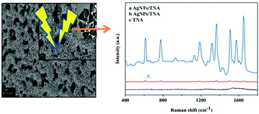 Graphical abstract: Improved SERS performance of a silver triangular nanoparticle/TiO2 nanoarray heterostructure and its application for food additive detection