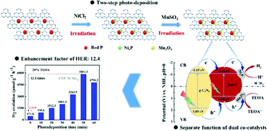 Graphical abstract: NixP and Mn3O4 dual co-catalysts separately deposited on a g-C3N4/red phosphorus hybrid photocatalyst for an efficient hydrogen evolution