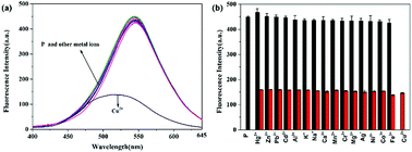 Graphical abstract: An “on–off–on” fluorescent peptide probe for the specific detection of Cu2+ and S2− in living cells and zebrafish