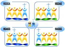 Graphical abstract: Handedness inversion of the self-assemblies of lipotetrapeptides regulated by the shift of the methyl group