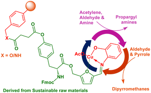 Graphical abstract: A sustainable pseudo-homogeneous catalyst from renewable biomass: design, development and catalytic applications