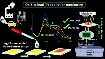 Graphical abstract: Paper-based plasmonic nanosensor monitors environmental lead pollution in real field
