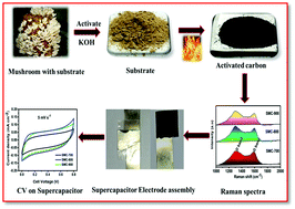 Graphical abstract: Renewable spent mushroom compost-derived carbon for solid-state supercapacitors as a sustainable alternative