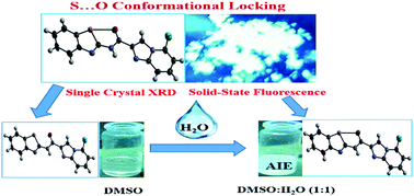 Graphical abstract: Imidazopyridine–fluoride interaction: solvent-switched AIE effects via S⋯O conformational locking