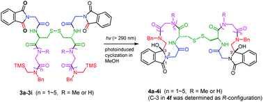Graphical abstract: Efficient synthesis of bisulfide-bridged bicyclopeptides by intramolecular photoinduced electron transfer cycloreaction