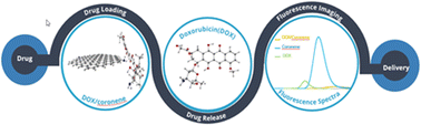 Graphical abstract: Coronene-based quantum dots for the delivery of the doxorubicin anticancer drug: a computational study