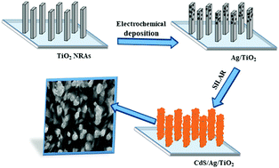 Graphical abstract: The investigation of CdS-quantum-dot-sensitized Ag-deposited TiO2 NRAs in photoelectrochemical hydrogen production