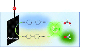 Graphical abstract: Electrocatalytic production of formaldehyde with formaldehyde dehydrogenase using a viologen redox mediator