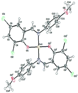 Graphical abstract: Structure-based design and synthesis of copper(ii) complexes as antivirus drug candidates targeting SARS CoV-2 and HIV