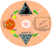 Graphical abstract: Gold nanospheres/nanorods as highly promising candidates for the hydrophilic/hydrophobic balance of poly(N-vinylcaprolactam): a thoughtful design of nanocomposites