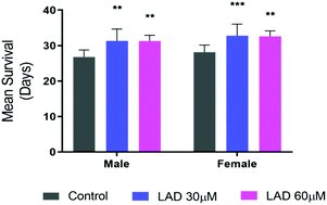 Graphical abstract: A promising discovery of an anti-aging chemical conjugate derived from lipoic acid and sesamol established in Drosophila melanogaster