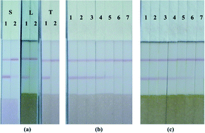 Graphical abstract: Sensitive immunochromatographic assay for the detection of the dimethachlone fungicide in tomatoes and lettuces