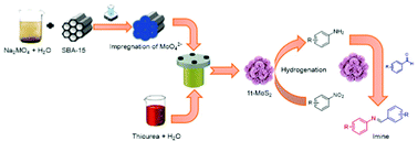 Graphical abstract: 1T-MoS2 catalysed reduction of nitroarenes and a one-pot synthesis of imines