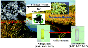 Graphical abstract: Distinguished performance of biogenically synthesized reduced-graphene-oxide-based mesoporous Au–Cu2O/RGO ternary nanocomposites for sonocatalytic reduction of nitrophenols in water