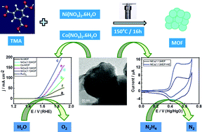 Graphical abstract: One step synthesis of a bimetallic (Ni and Co) metal–organic framework for the efficient electrocatalytic oxidation of water and hydrazine