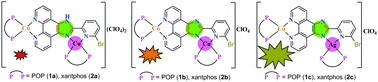 Graphical abstract: Photophysical properties of homobimetallic Cu(i)–Cu(i) and heterobimetallic Cu(i)–Ag(i) complexes of 2-(6-bromo-2-pyridyl)-1H-imidazo[4,5-f][1,10]phenanthroline