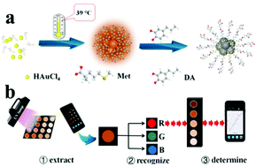 Graphical abstract: The controllable synthesis of orange-red emissive Au nanoclusters and their use as a portable colorimetric fluorometric probe for dopamine