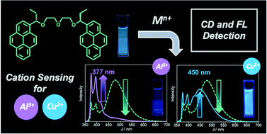 Graphical abstract: Dual-channel recognition of Al3+ and Cu2+ ions using a chiral pyrene-based fluorescent sensor