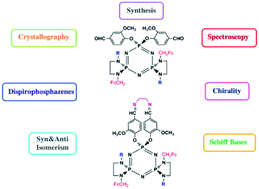 Graphical abstract: Phosphorus–nitrogen compounds: part 63. Mono- and bis-vanillinatobisferrocenyldispiro(N/N)cyclotriphosphazenes and their macrocyclic Schiff-bases: synthesis, structural characterization and isomerism