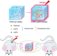 Graphical abstract: An injectable self-healing CS/PDA–AgNPs hybrid hydrogel for mild and highly-efficient photothermal sterilization