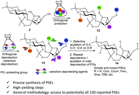 Graphical abstract: An orthogonal approach for the precise synthesis of phenylpropanoid sucrose esters