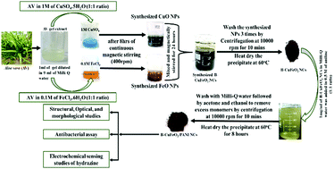 Graphical abstract: Preparation, antibacterial activity, and electrocatalytic detection of hydrazine based on biogenic CuFeO2/PANI nanocomposites synthesized using Aloe barbadensis miller