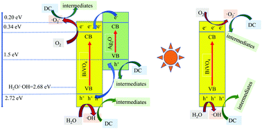 Graphical abstract: Comparative study of BiVO4 and BiVO4/Ag2O regarding their properties and photocatalytic degradation mechanism