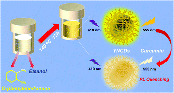 Graphical abstract: Preparation of yellow emissive nitrogen-doped carbon dots from o-phenylenediamine and their application in curcumin sensing