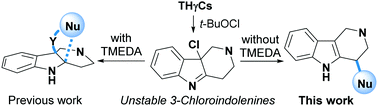 Graphical abstract: Direct C–H functionalization of tetrahydro-γ-carbolines at the α-position
