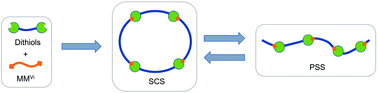 Graphical abstract: Synthesis and characterization of novel poly(sulfone siloxane)s with good solubility and recyclability based on siloxane units