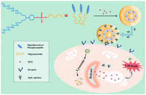 Graphical abstract: Aptamer-functionalized fluorine-containing DNAsomes for targeted drug delivery to cancer cells
