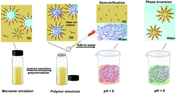Graphical abstract: A pH-sensitive W/O emulsion for the preparation and rapid dissolution of polyacrylamide-based friction reducer