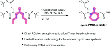 Graphical abstract: Synthesis and development of seven-membered constrained cyclic urea based PSMA inhibitors via RCM