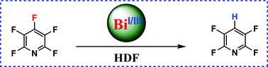Graphical abstract: Computational mechanism investigation of Bi(i)/Bi(iii) redox-catalyzed hydrodefluorination (HDF) of polyfluoroarenes