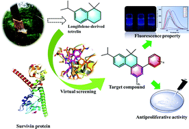 Graphical abstract: Design, synthesis, and antiproliferative evaluation of novel longifolene-derived tetraline pyrimidine derivatives with fluorescence properties