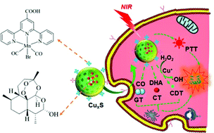 Graphical abstract: Targeted carbon monoxide delivery combined with chemodynamic, chemotherapeutic and photothermal therapies for enhanced antitumor efficacy