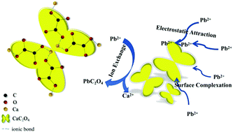 Graphical abstract: Mesoporous maltose/calcium oxalate hybrid material with abundant reaction sites and its efficient Pb(ii) removal from diverse water bodies