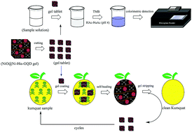 Graphical abstract: A nickel oxide@nickel–graphene quantum dot self-healing hydrogel for colorimetric detection and removal of lambda-cyhalothrin in kumquat