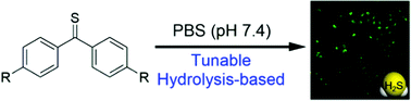 Graphical abstract: Thiobenzophenones: tunable hydrolysis-based donors for intracellular H2S delivery