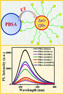 Graphical abstract: Exploring the photoexcited electron transfer dynamics in artificial sunscreen PBSA-coupled biocompatible ZnO quantum dots