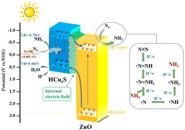 Graphical abstract: Boosting N2 photoreduction using a ZnO@HCuxS composite with high activity and easy recovery grown on a copper mesh