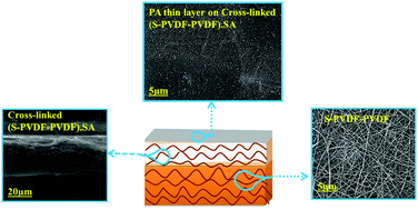 Graphical abstract: A novel multilayer thin-film membrane with high durability: preparation, characterization, performance investigation