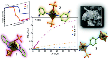 Graphical abstract: Tuning magnetic properties by crystal engineering in a family of coordination polymers based on Ni(ii) sulphates