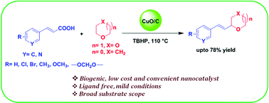 Graphical abstract: Bio-carbon-layered CuO-catalyzed decarboxylative alkenylation of cyclic ethers