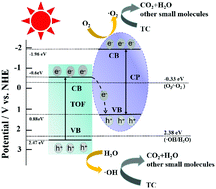 Graphical abstract: In situ composite of Co-MOF on a Ti-based material for visible light multiphase catalysis: synthesis and the photocatalytic degradation mechanism