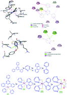 Graphical abstract: Syntheses and structural and serum protein protecting activity of ruthenium(ii)–DMSO complexes containing a mercapto ligand