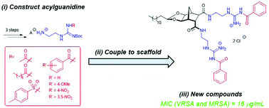Graphical abstract: Synthesis of 2-[2-(tert-butoxycarbonyl)-3-(acyl)guanidino]ethylamine salts for convergent introduction of acyl guanidines